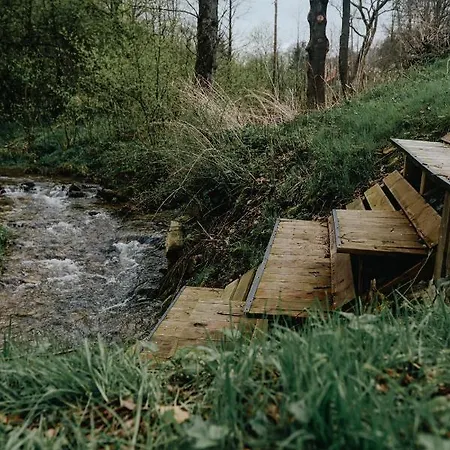Dzikosc Orlowiec Lądek-Zdrój